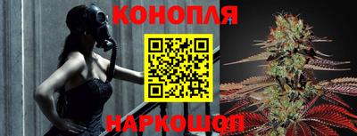 сатива Донской