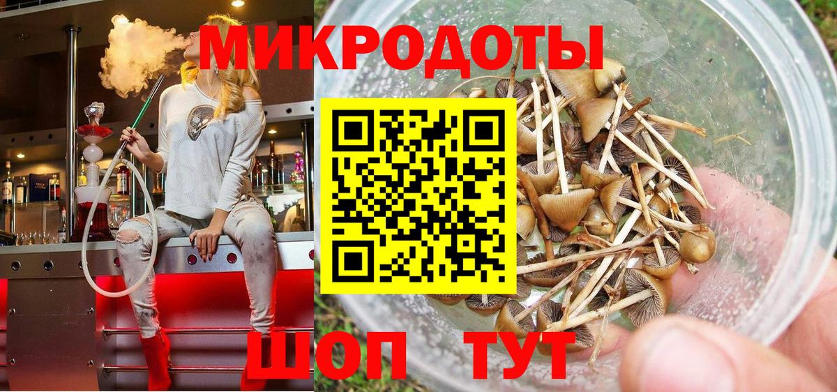 Галлюциногенные грибы MAGIC MUSHROOMS Похвистнево